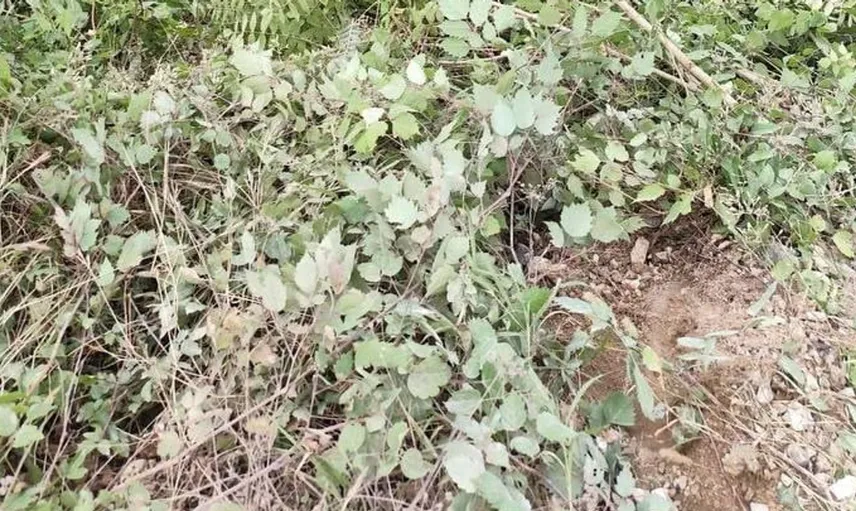 Dörtyol'da şarampole uçan kamyonda baba-oğul yaralandı