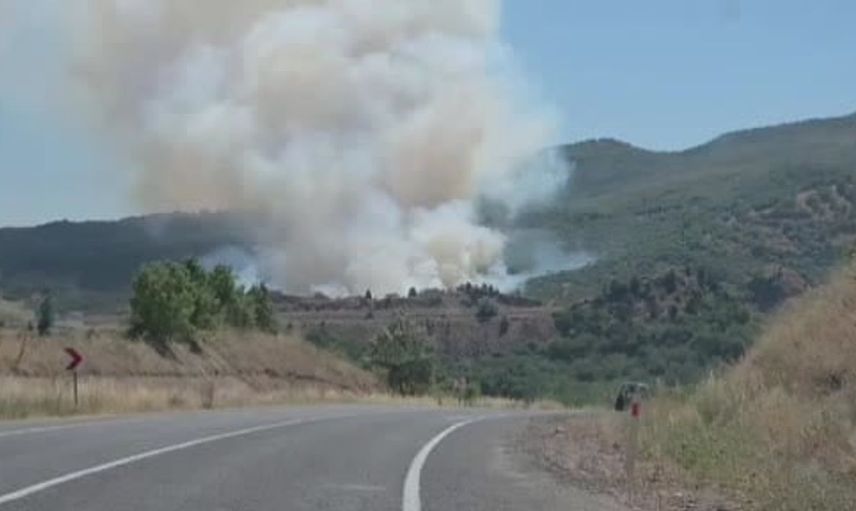 Domaniç'te tarlada başlayan yangın ormana sıçradı