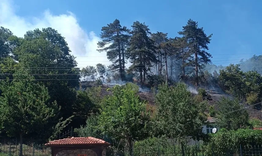 Sinop'ta orman yangınında gözaltına alınan kişi tutuklandı