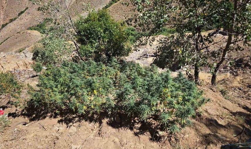 Bingöl'de jandarmanın bir haftada gerçekleştirdiği operasyonlar dikkat çekiyor