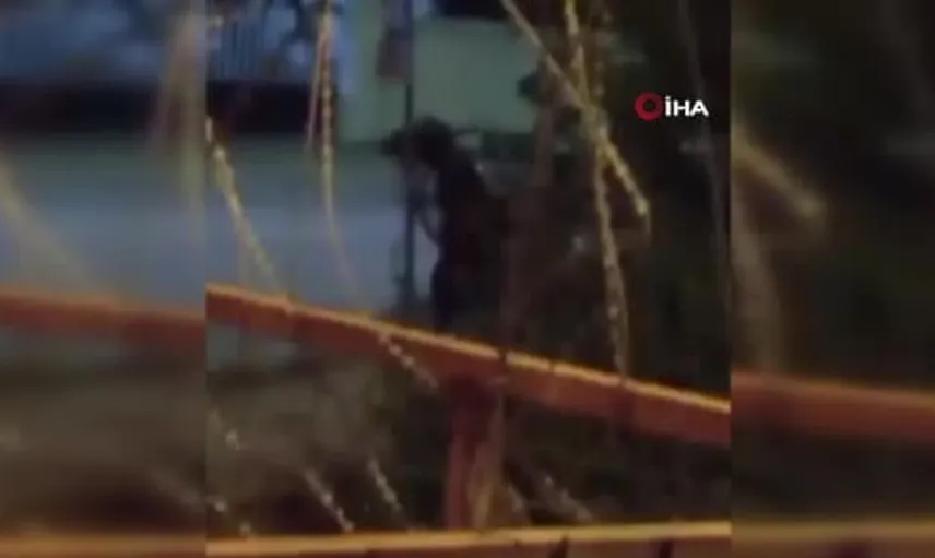 Arnavutköy'de atın maruz kaldığı şiddet anları kaydedildi