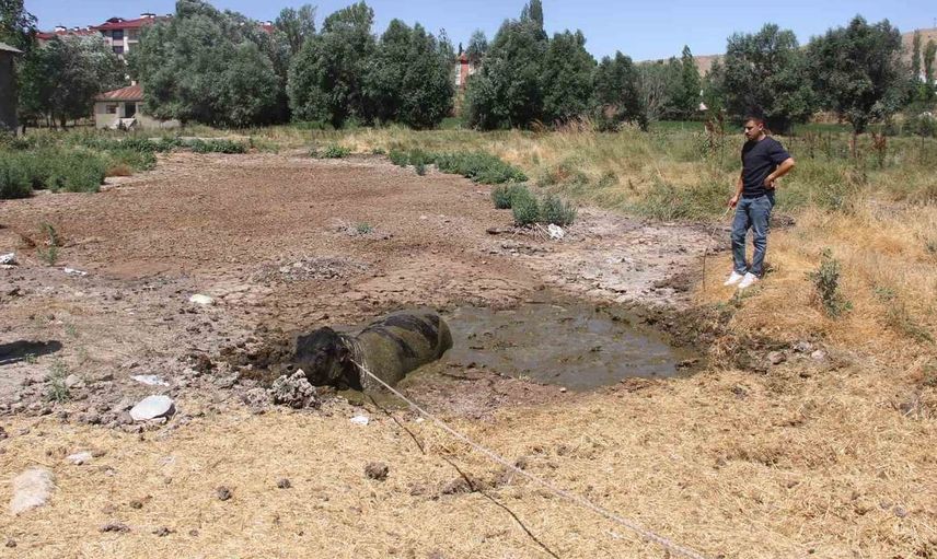 Sivas'ta ahırdan kaçan boğa ilçeyi karıştırdı