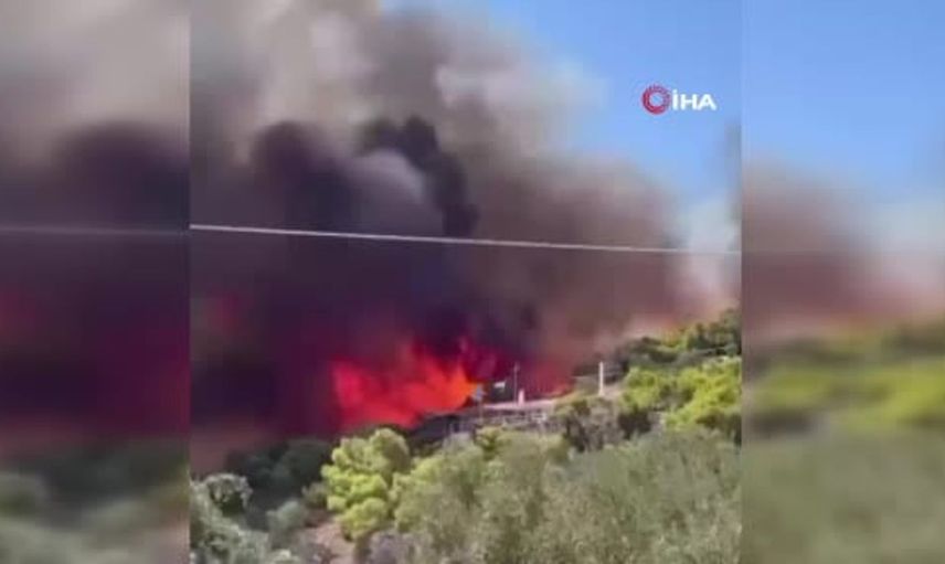Salamina Adası'ndaki orman yangınında yaşlı çift yaşamını yitirdi