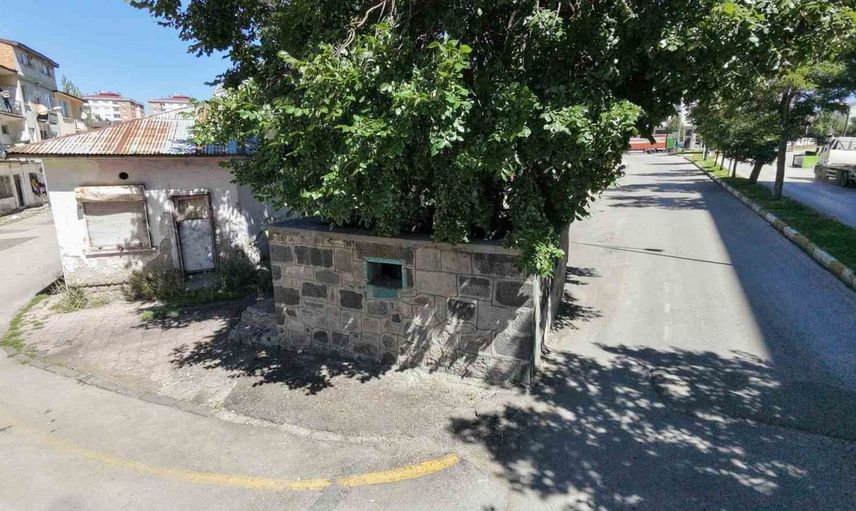 Erzurum'da öksürük rahatsızlığına şifa arayanların buluşma noktası: Öksürük Baba