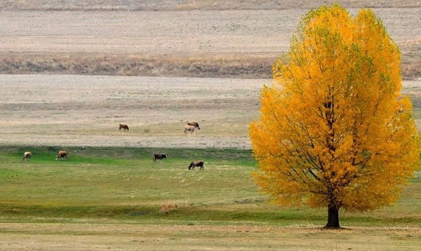 Dijital dönüşüm tarımda yeni bir aşama: B-reçete sistemi hayata geçti