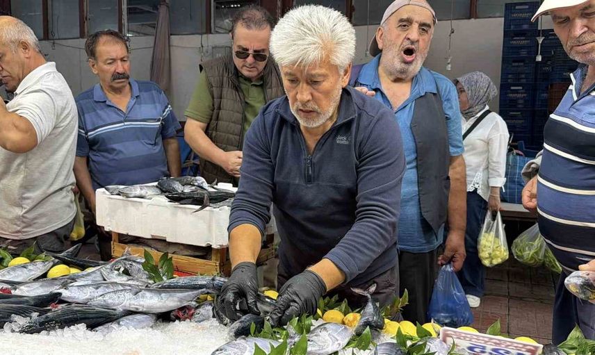Bolu'da balık pazarlarında palamut sezonu coşkusu