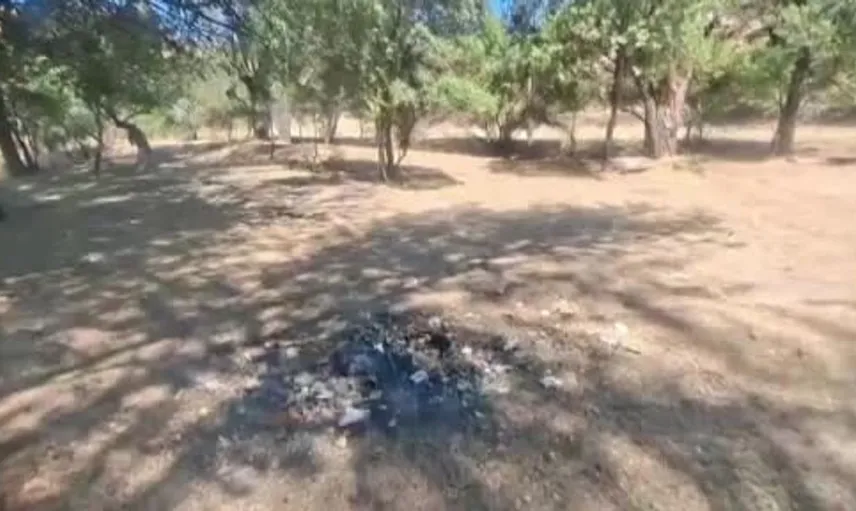 Ayaş'ta piknikçilerden kaynaklanan çevre kirliliği sorununa yerel tepki