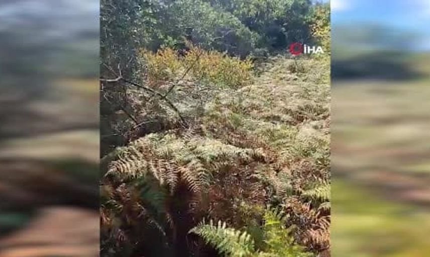 Sultangazi'de kaybolan Mustafa Dinler için arama çalışmaları devam ediyor