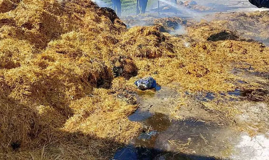 Tarsus'ta saman balyalarının bulunduğu alanda yangın çıktı