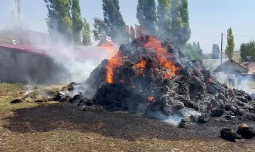 Kars'ta çiftçinin bir yıllık emeği yangında kül oldu