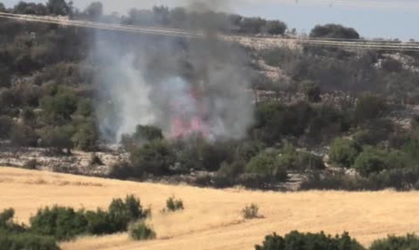 Adıyaman'da orman yangınına karadan ve havadan etkili müdahale