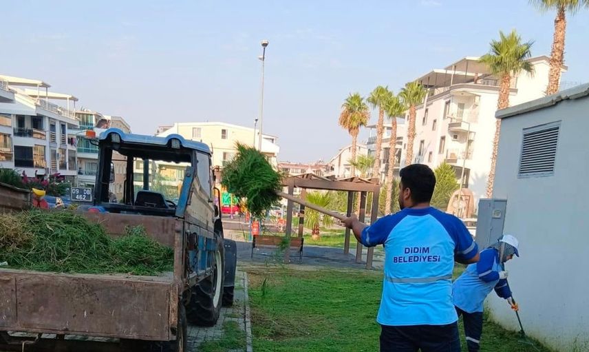 Didim Belediyesi yeşil alanlarda bakım çalışmalarına hız verdi