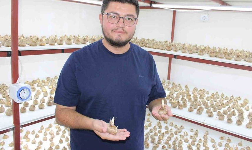 Kayseri'de safran üretimi başarı hikayesi: Girişimci Mustafa Demir'in azmi