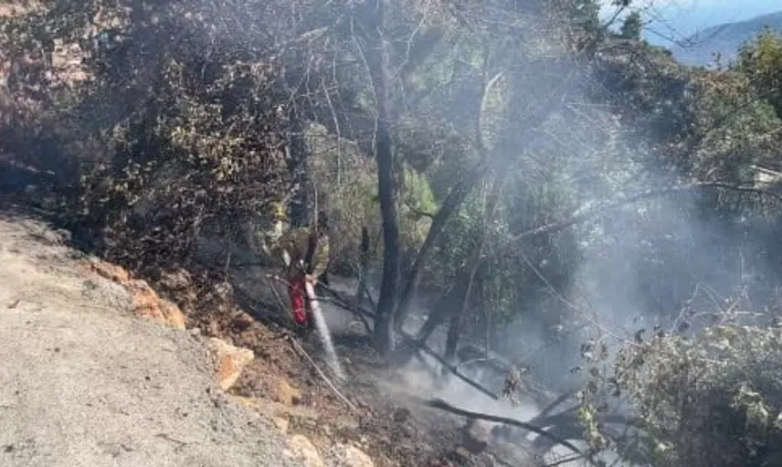 Alanya'da çıkan yangın hızlıca kontrol altına alındı