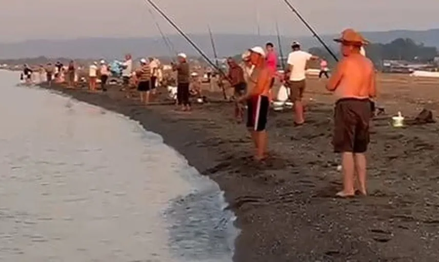 Karacabey sahillerde istavrit avında büyük bir hareketlilik yaşanıyor