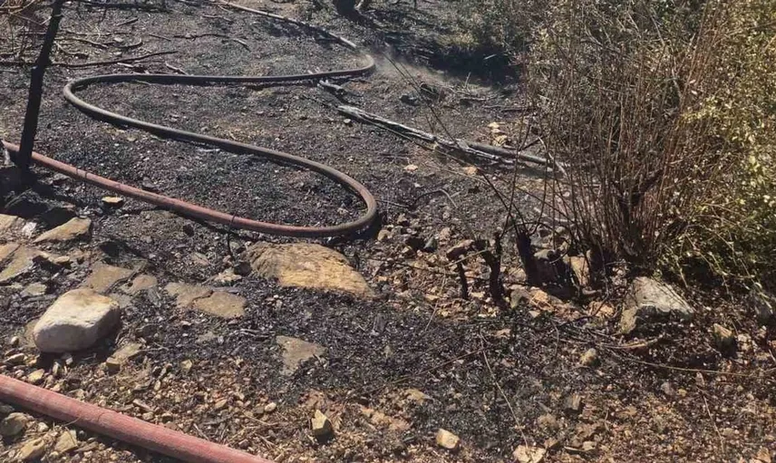 Feke'de orman yangınları mahalle sakinlerini bir araya getirdi