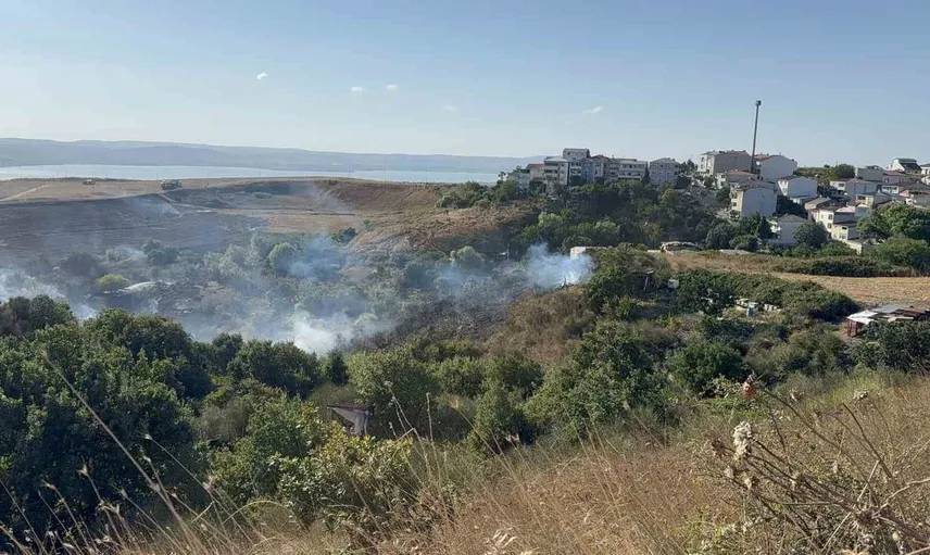 Büyükçekmece'de tarla yangını paniği: Dumanlar gökyüzünü kapladı