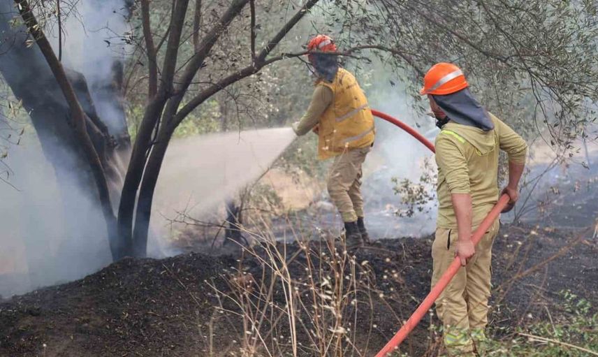 Muğla'da orman yangınına yoğun müdahale sürüyor