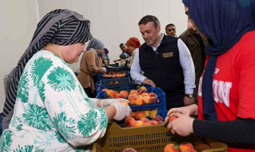 Bilecik'te nektarin hasadı başladı: Yurt dışına toplam gönderim yapılıyor