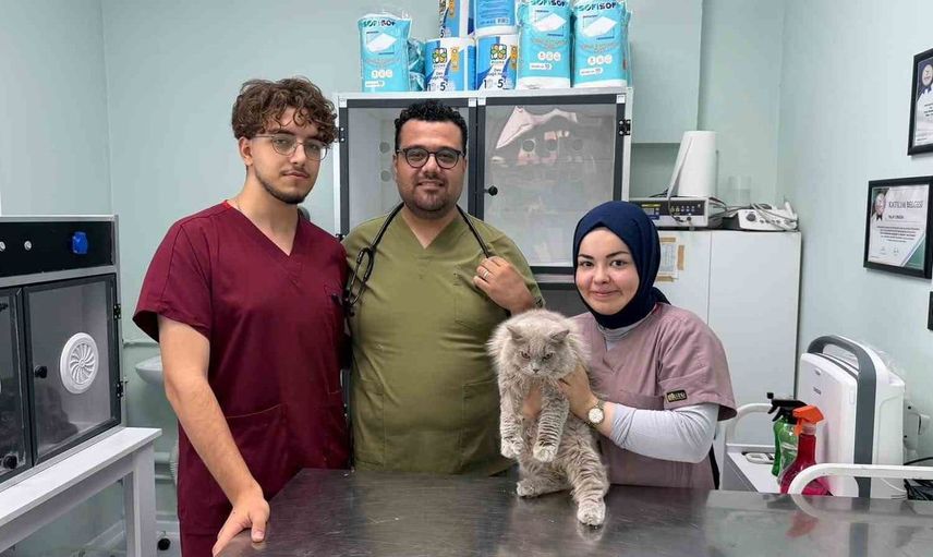 Bursa'daki veteriner kliniğinde sokak kedisinin ilginç anları gündem oldu
