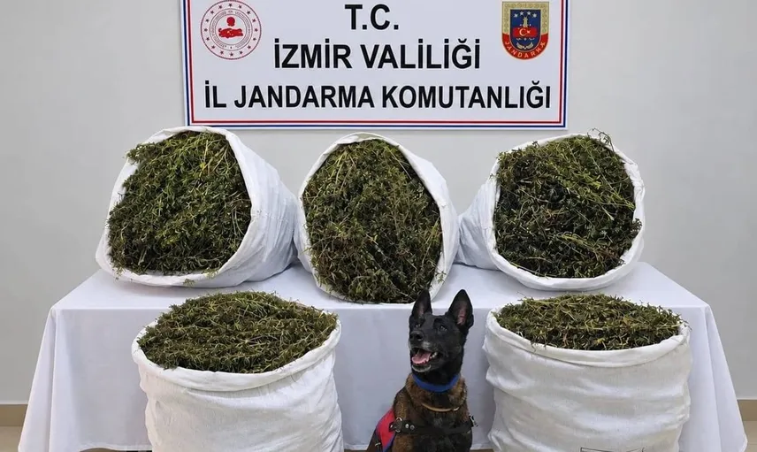 İzmir'de uyuşturucu operasyonunda büyük miktarda esrar ele geçirildi