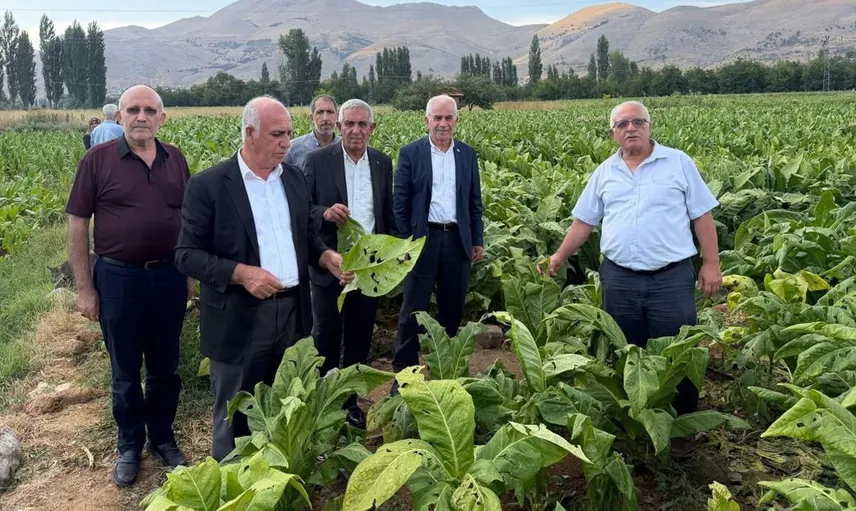 Çelikhan'da dolu felaketi tütün üreticilerini etkiledi