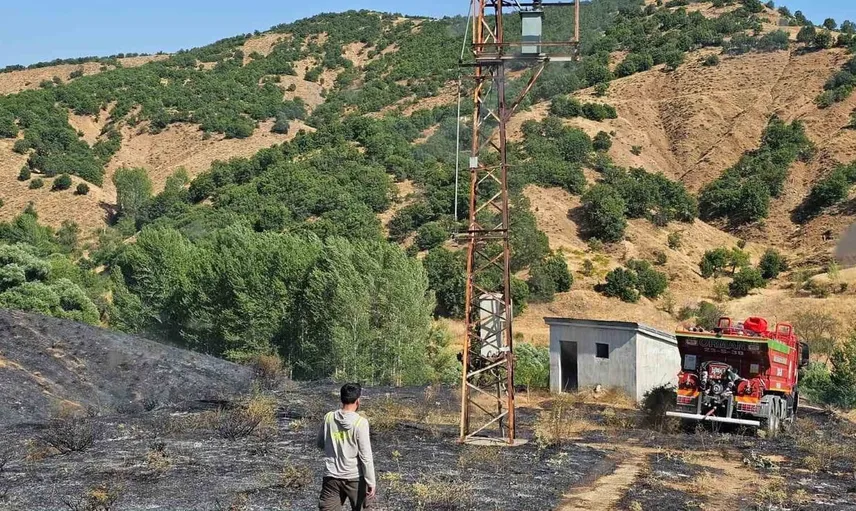 Bingöl'ün kırsalında çıkan yangın ekiplerce kontrol altına alındı