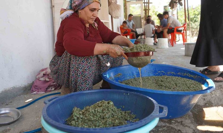 Kudret helvası bolluğu yöre halkını sevince boğdu: 'Bu Allah’ın nimeti'