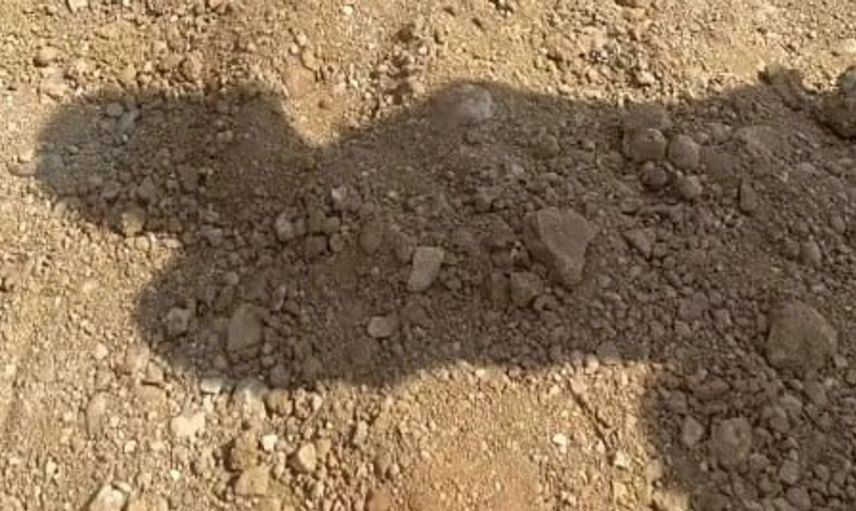 Adana'daki şantiyede mahsur kalan köpeğe itfaiyeden kahraman kurtarma
