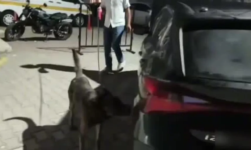 Uyuşturucu sevkiyatı İstanbul'dan Sakarya'ya: dört kişi tutuklandı
