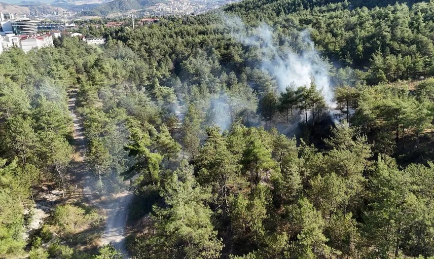 Karabük'teki örtü yangını hızlı müdahale ile kontrol altına alındı