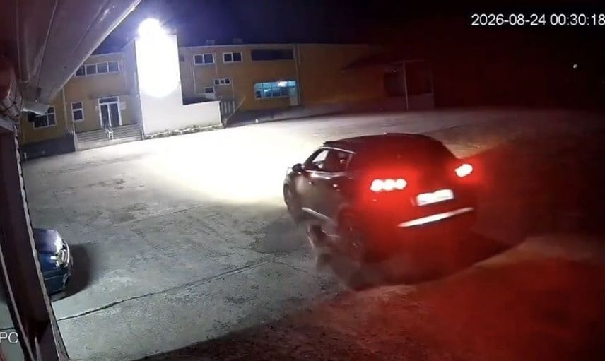 Giresun'da sokak köpeğinin ezilmesiyle ilgili inceleme başlatıldı