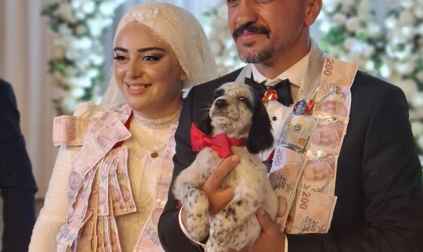 Düğün geleneğini değiştiren sürpriz hediye: Köpek yavrusu