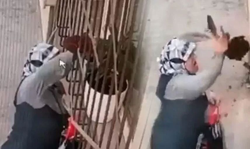 Bursa'da Camın Önündeki Çiçeği Çalan Hırsız Kameralara Yakalandı