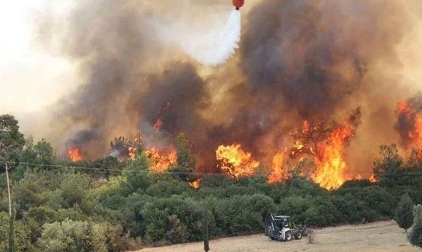 Çanakkale Çan ilçesinde orman yangını; Olay yerine çok sayıda ekip sevk edildi