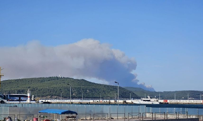 Çanakkale Gelibolu'da Orman Yangınına Hızla Müdahale Ediliyor