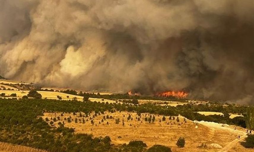 Çanakkale yangınında son durum: 4 bin 80 hektarlık alan etkilendi