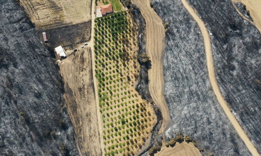Çanakkale'de Yangınlardan Zarar Gören Tarım Arazileri
