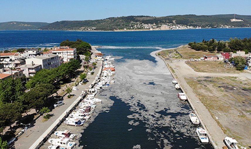 Çanakkale’deki Deniz Salyaları Vatandaşı Tedirgin Etti