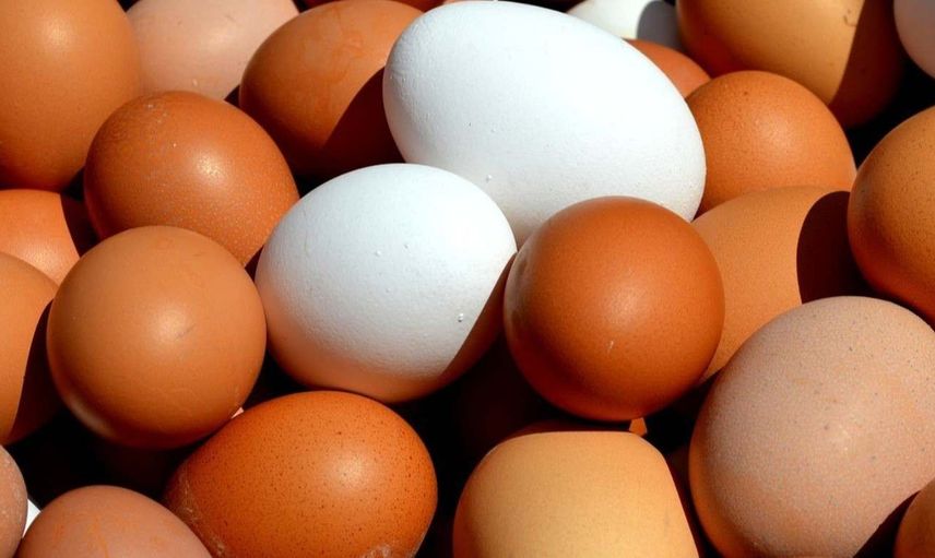 Çay ve etin ardından yumurta ve süte de rekor zam geldi! Vatandaş zam hızına yetişemiyor! Zamlı fiyatları görenler şok oldu