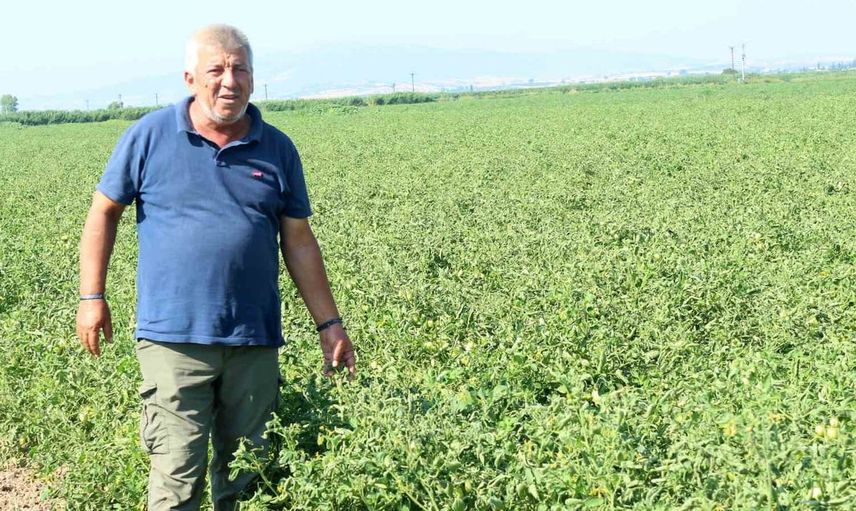 Manyas Gölü’nden gelen ilaçlı su sorununa üretici çözüm bekliyor