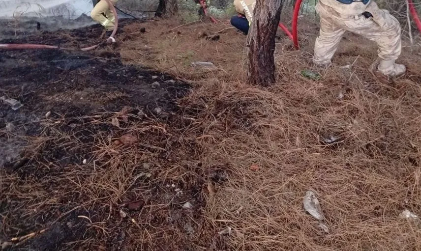 Yayladağı'nda orman yangınına hızlı müdahale: Kontrol altına alındı