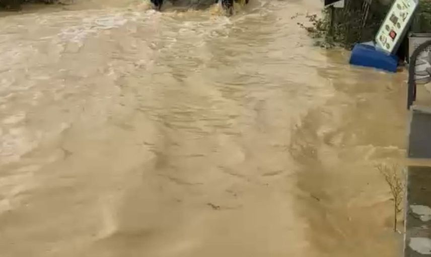 Sakarya'da sağanak yağış dereleri taşırdı, ulaşım aksadı