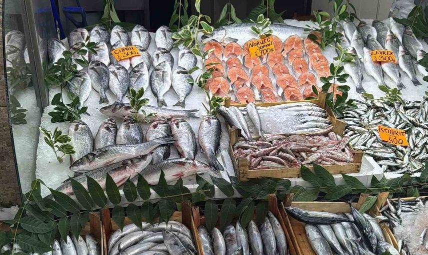 Palamut sezonu açıldı, tezgahlar dolup taşıyor