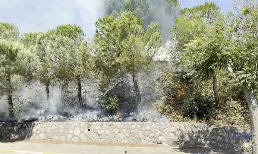 Yolda çıkan yangın ormanı tehdit etti: Erdek'te ekipler hızlıca müdahale etti