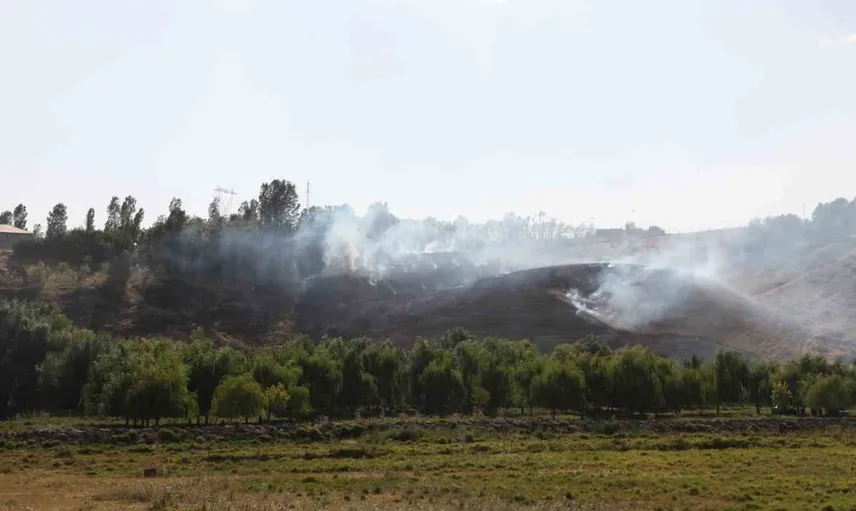 Ahlat'ta yangın tehlikesi büyümeden önlendi