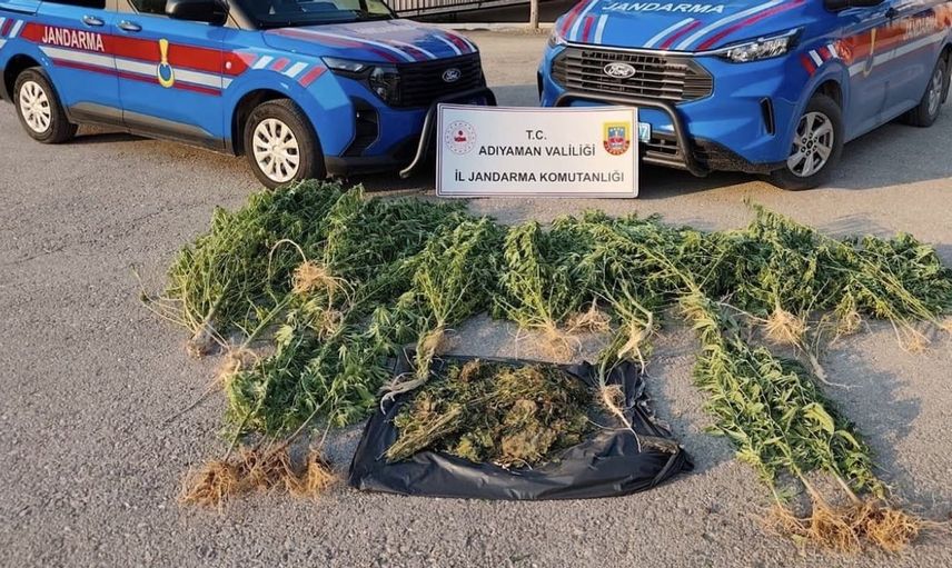 Kahta'da jandarmadan ilaçlı uyuşturucu operasyonu