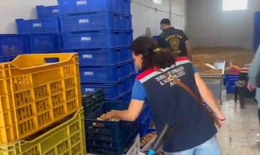 Aydın'da gıda güvenliği operasyonu: 25 ton etiketsiz kuru incir ele geçirildi