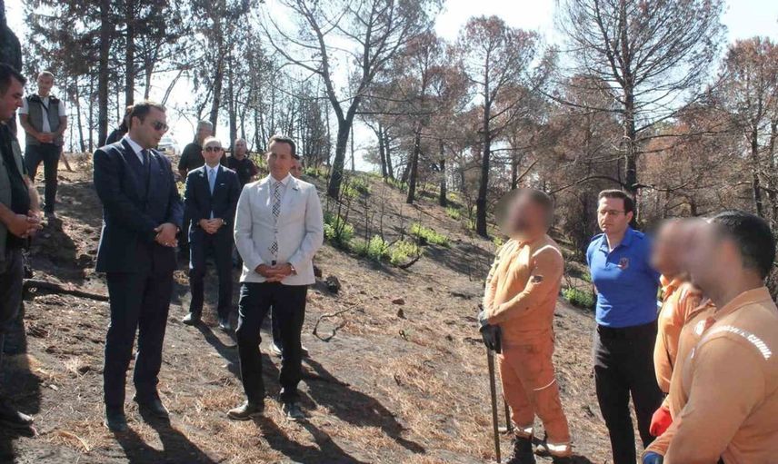 Hükümlüler, ormanların yeşermesi için seferber oldu