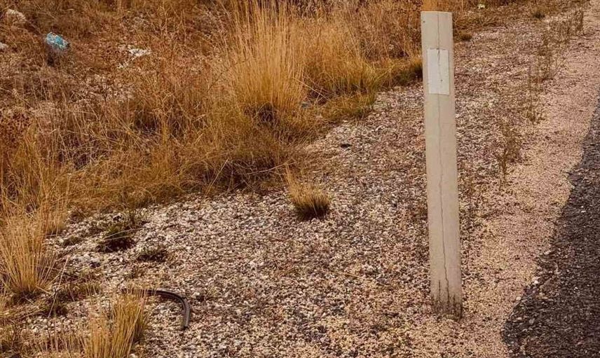 Eskişehir'de yağış nedeniyle devrilen kamyondaki çuvallar çevreye saçıldı